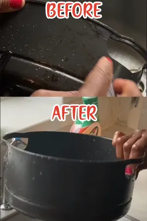 Cleaning Air Fryer Basket Before and After