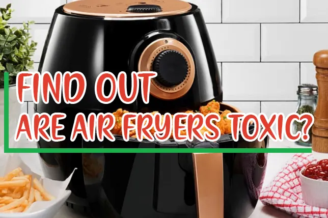 Are Air Fryers Toxic? [I Asked Experts For Truth]