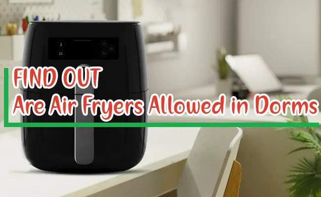Are Air Fryers Allowed in Dorms? Things To Know!