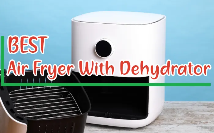 Best Air Fryer With Dehydrator Function [2024]